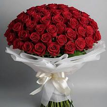 Букет 101 Красная роза Блэк Мэджик в Мухтолово