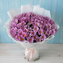 Букет цветов из:  Хризантемы в Мухтолово
