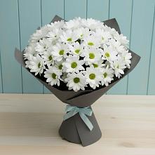 Букет цветов из:  Хризантемы #REPLACE_PRED# Мухтолово