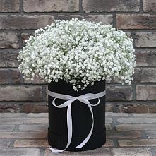 Цветочная композиция из Гипсофила в шляпной коробке в Мухтолово