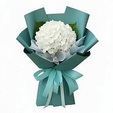 Букет цветов из:  Гортензия #REPLACE_PRED# Мухтолово